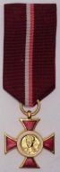 Odznaczenie im. Janka Krasickiego ZŁOTY medal odznaka krzyż ZMS ZSMP PRL