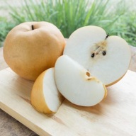 Grusza azjatycka SHINSEIKI – soczyste owoce deserowe