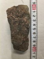 Agat mszysty muszlowy