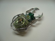 BROSZKA ZAWIESZKA ŻUK CHRABĄSZCZ OWAD KRYSZTAŁKI