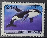 Ryby (kas) - luzak - do uzupełnień 13/7