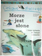 Ciekawe dlaczego morze jest słone i inne pytania na temat oceanów Anita