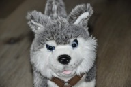 pluszak maskotka pies piesek szczeniak husky Haski