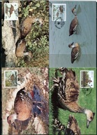 A51572)WWF-Maximum Karty Ptaki: Bahamas 672 - 675