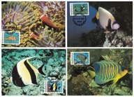 7-MC-GK11- Malediwy, WWF, Ryby oceaniczne,1986r