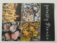 PIENINY PARK NARODOWY - MAP/INFO - TEN PRZEDMIOT - LASY