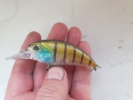 wobler okoń z grzechotką 7,0 cm 14,0 g na suma