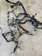 Toyota RAV-4 A5 Wiązka silnika 2.0 BENZYNA M20A-FKS od 2019