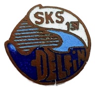 Delfin Łódź zwykła