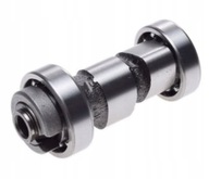 YAMAHA YBR 125 Enduro SuperMoto Wałek Rozrządu W.1