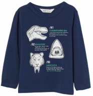 Bluzeczka dinozaury r. 110/116 H&M
