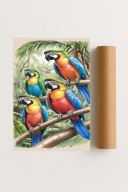 Plakat bez ramy 40x50 cm Kolorowe ptaki tropikalne w dżungli – natura
