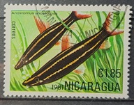 Ryby (kas) - luzak - do uzupełnień 13/7