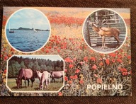 POPIELNO - karta pocztowa