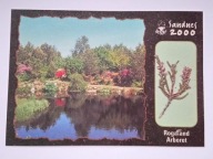 Norwegia - arboretum w Sandnes - pocztówka z przyklejną rośliną