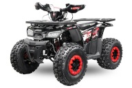 QUAD 125 cc 150 ROCCO + LEDY AUTOMAT /3 BIEGI