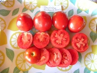Pomidor DARINKA plenny niezawodny nasiona kolekcjonerskie
