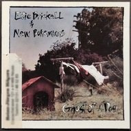 CD Edie Brickell & New Bohemians – Ghost Of A Dog