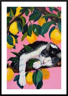 A2 KOLOROWY PLAKAT OBRAZ ŚPIĄCE KOTY CZARNO BIAŁY KOT CYTRYNY AKWARELA