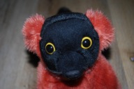 pluszak maskotka fajny lemur czerwony Nature Planet