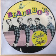 Bach Boys winil Picture Disc Lp.
