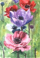 =KWIACIARNIA= Obraz =martwa natura=KWIATY=akwarela=