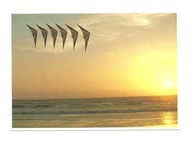 Pocztówka - Latawce na niebie i zachód słońca ...