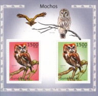 Gwinea Bissau 2010 ** cena 6,50 zł kat.7,50€ (2) - ptaki, sowy