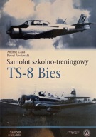 Samolot Szkolno-Treningowy TS-8 BIES Andrzej Glass