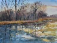 Drzewa nad wodą Akwarela Sabina Salamon 40x30