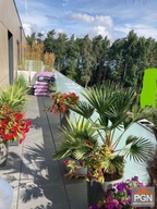 Mieszkanie, Rewal, Rewal, Gryficki, 34 m²