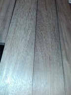 TARCICA MAHOŃ IROKO 2