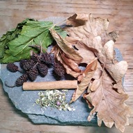 Niezbędnik zdrowego zbiornika -krewetki- od fibell