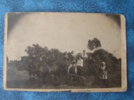 Żniwa na polskiej wsi / sianokosy - stare zdjęcie z 1931 r - konie