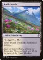 Karta Magic: The Gathering Sunlit Marsh DMU