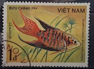 Ryby (kas) - luzak - do uzupełnień 13/3