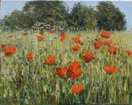 Makowe pole" obraz olejny na płótnie 40x50cm , oryginał Garncarek Al,,,