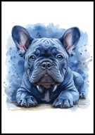 A2 OBRAZ PLAKAT PIES PUPIL PLAKAT BULDOG FRANCUSKI