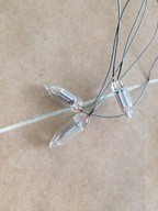 Neonówka miniaturowa, boczna