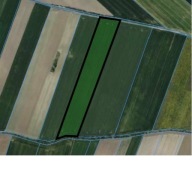 Działka, Strzelce, Kutnowski, 29051 m²