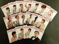 Columbo 0 - 32 kolekcja DVD PL - polski lektor Porucznik KOLOMBO zestaw
