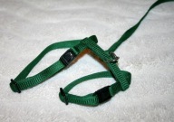 REGULOWANE SZELKI + SMYCZ DLA KRÓLIKA GRYZONIA ZIELONE