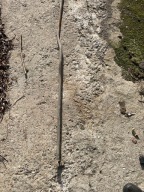 VW T3 79--90 WYBIERAK GŁÓWNY ZMIANY BIEGÓW ORYGINAŁ