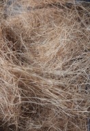 Włókno kokosowe długie200ml , Dekoracja do Terrarium , Formikarium na arenę