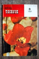 Młody technik, 8/1987