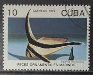 Ryby (kas) - luzak - do uzupełnień 13/7