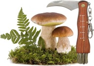 NÓŻ DO GRZYBÓW SCYZORYK NA GRZYBY SKŁADANY ZE SZCZOTECZKĄ DLA GRZYBIARZA