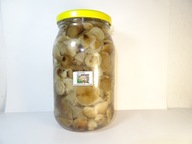 BOTA OPIEŃKA MIODOWA 900