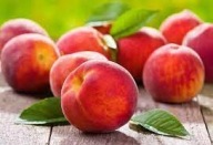 Brzoskwinia INKA – duże, słodkie owoce, polska odmiana