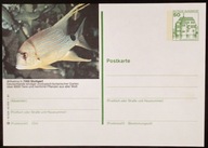 NIEMCY RYBA - KARTA POCZTOWA